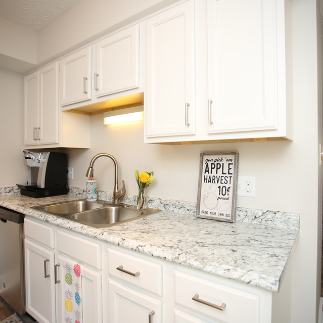 Turkey Run Village Dublin OH